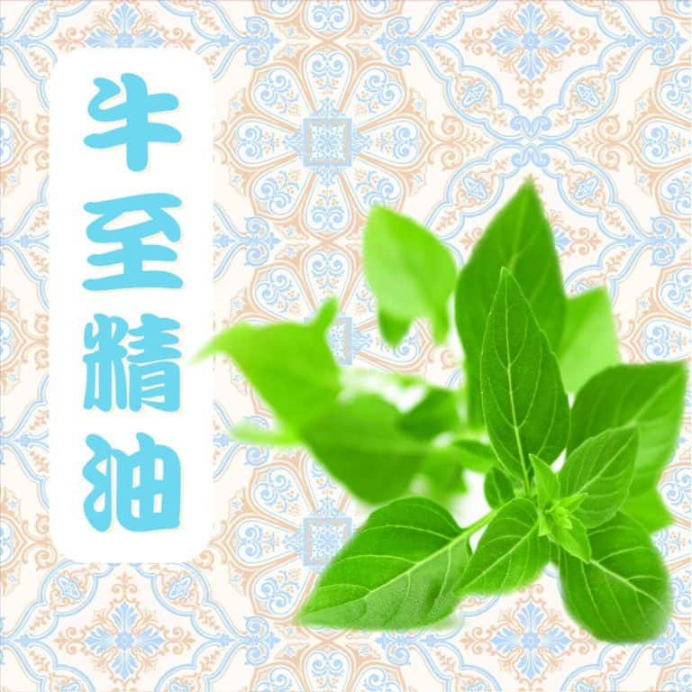 牛至精油 Vie Simple