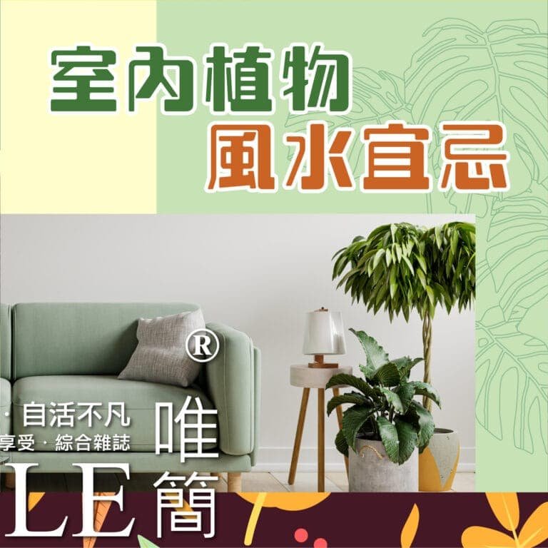 第六十六期 Vie Simple (1)