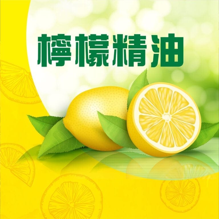 第六十六期 Vie Simple (4)