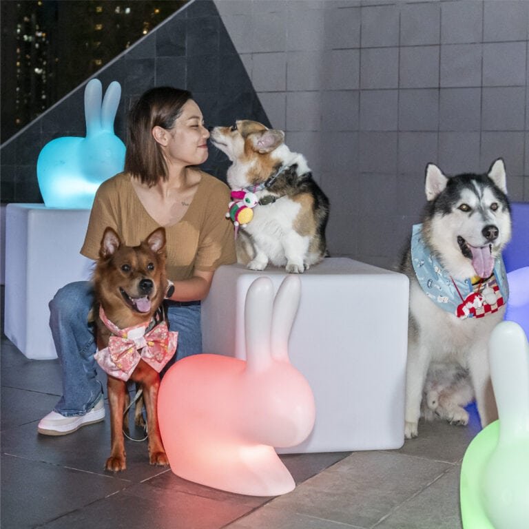 3大毛孩專屬打卡位 巨型充氣得意狗 x 玉兔 Glamping迎中秋-03