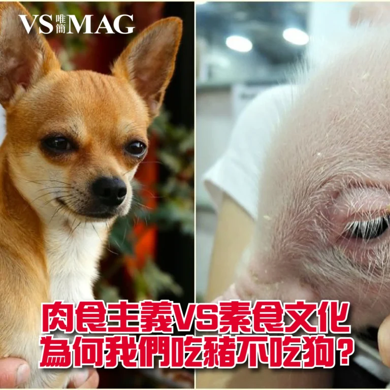 肉食VS素食文化-03